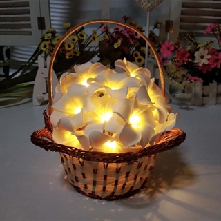 LED lyskæde med frangipani